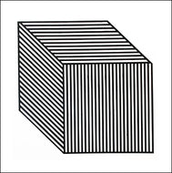 Sol Lewitt: Isometric Drawings