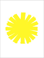 Shannon Ebner & Dexter Sinister: The Sun as Error